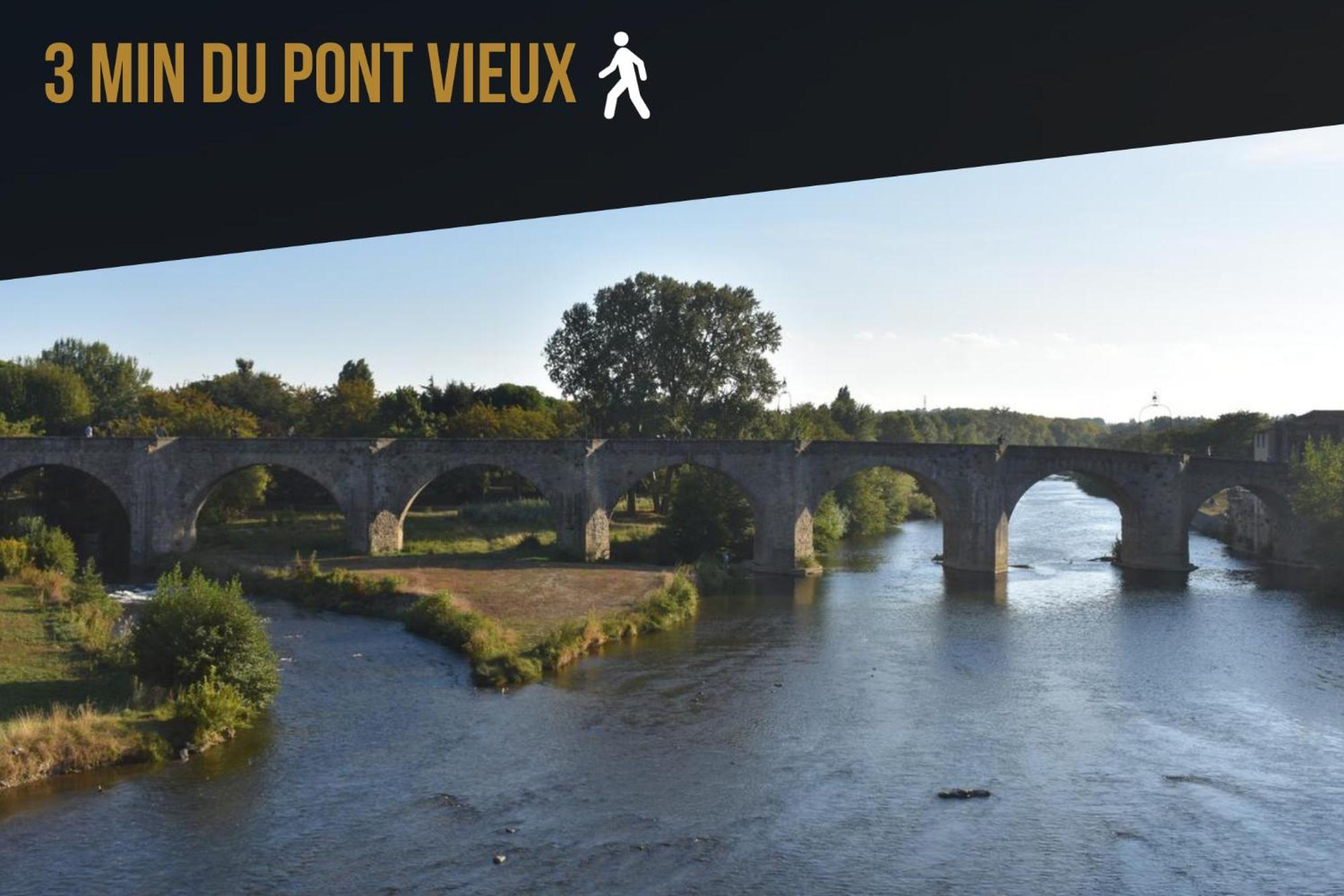 Les Gites De Laure - L'Or Vert, Appartement Avec Vue Sur Le Chateau, Parking Prive, Climatisation, Netflix, A 160 M De La Cite Medievale Carcassonne Exterior foto